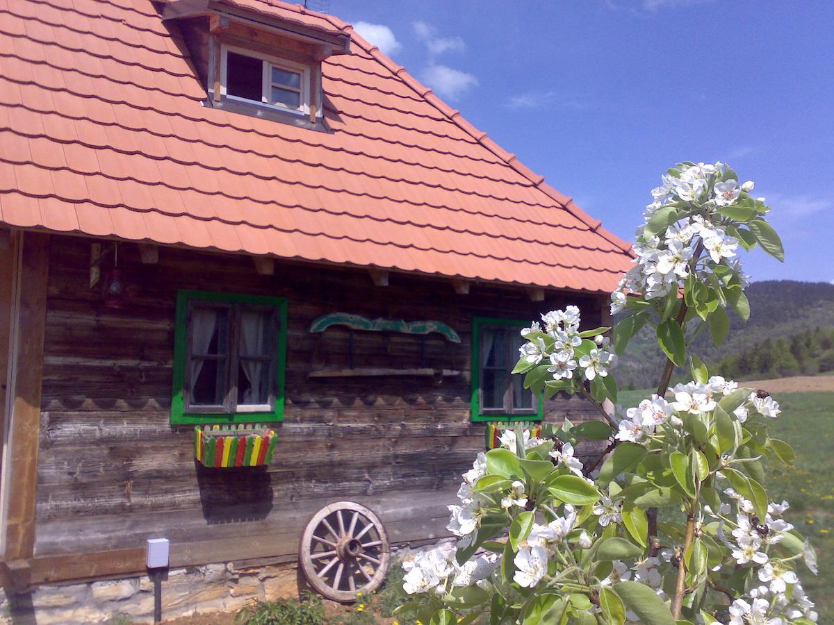 Apartments Sekler Rudno Chambre photo
